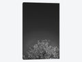 Canvas Art Wall Decor O379