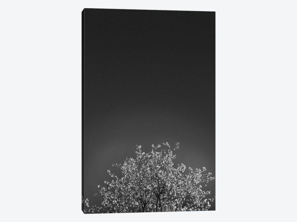 Canvas Art Wall Decor O379