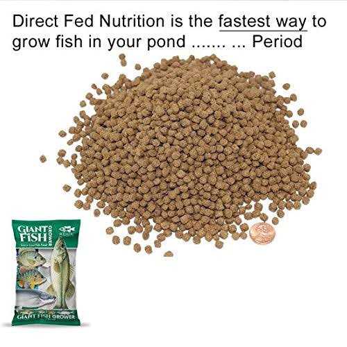 Giant Fish Grower H378