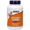 Celadrin & MSM 500mg 120 Capsules E55831