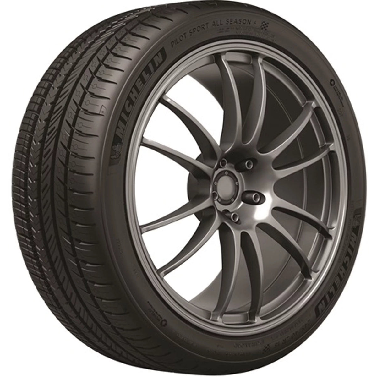 All Season 295/30ZR20 101Y XL Passenger Tire V63094