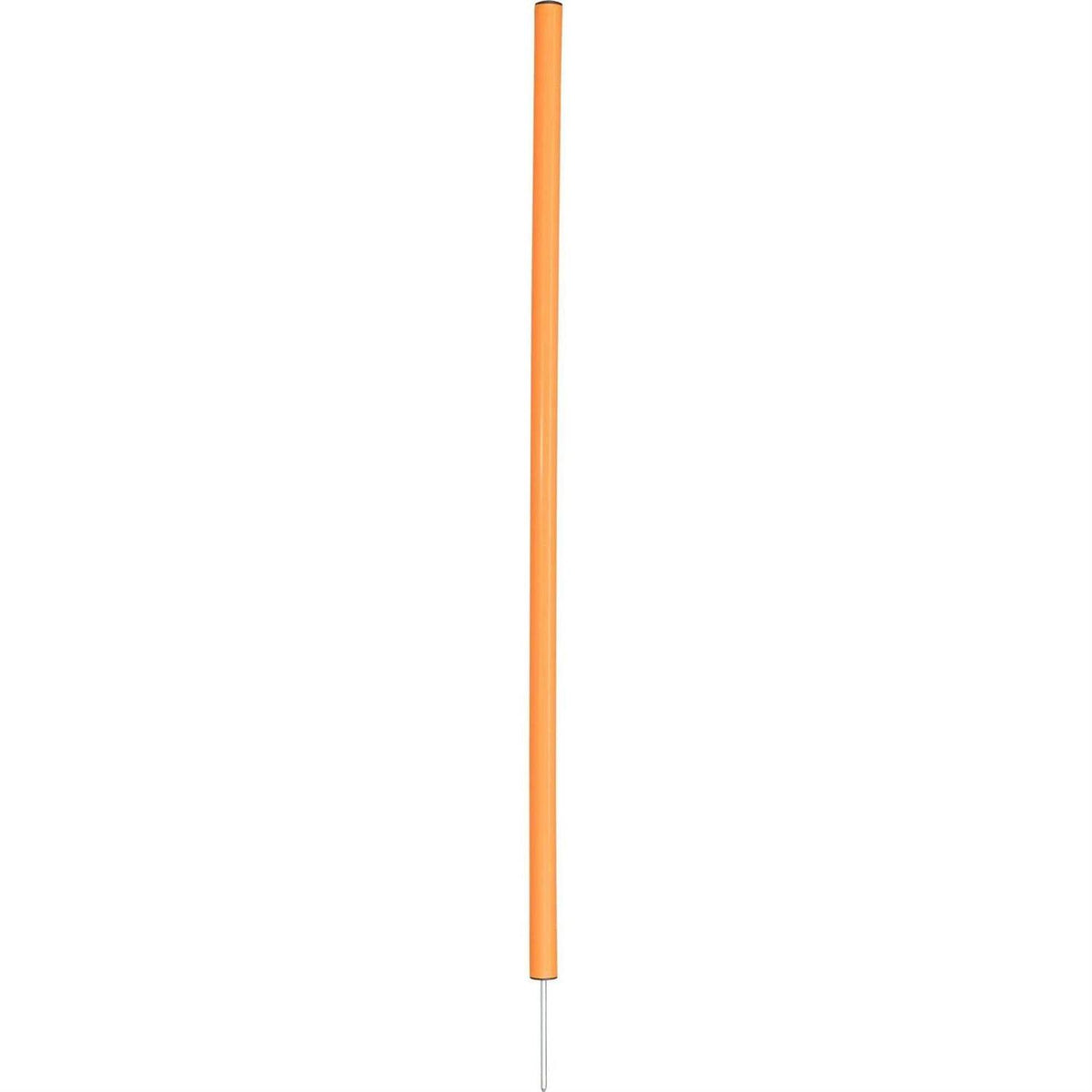 Dog Training Poles W333