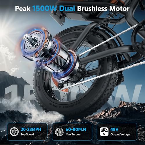 20 x 4 Inch Fat Tire 750W Electric Bike E15579