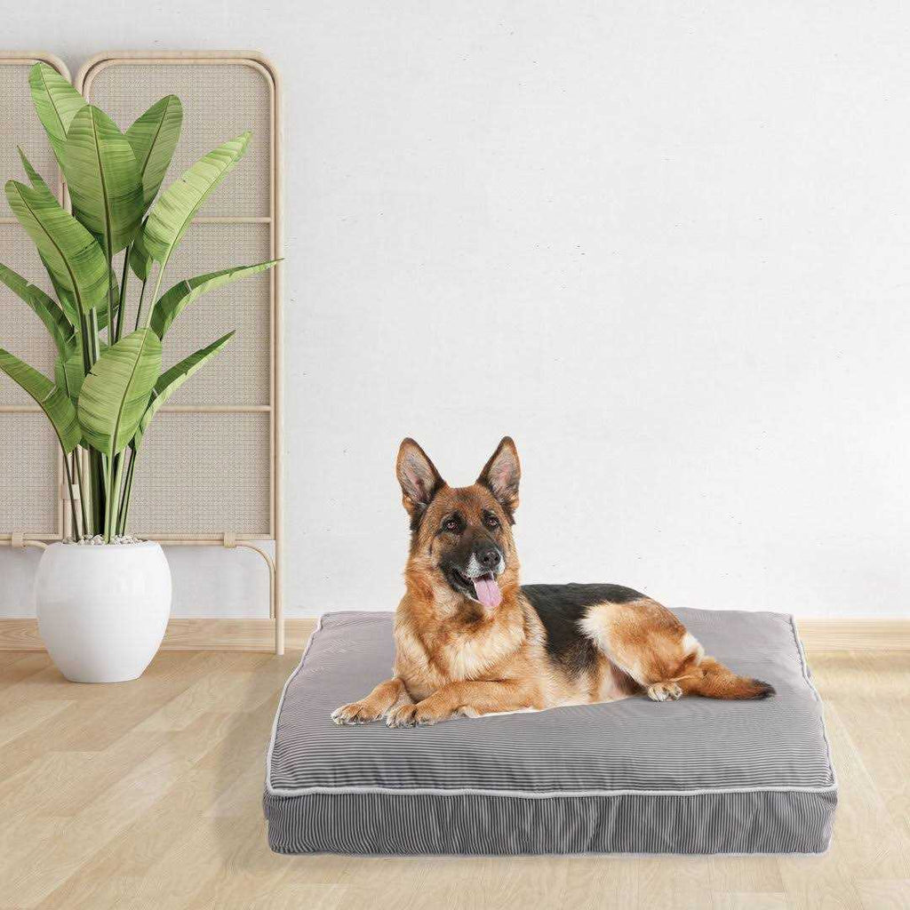 Orthopedic Pet Bed O20445