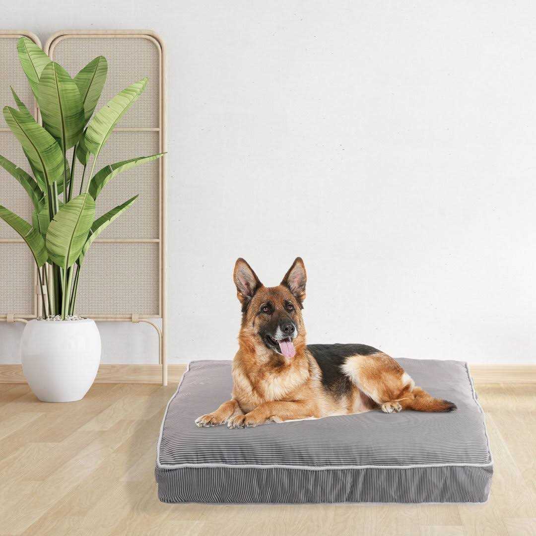 Orthopedic Pet Bed O20445