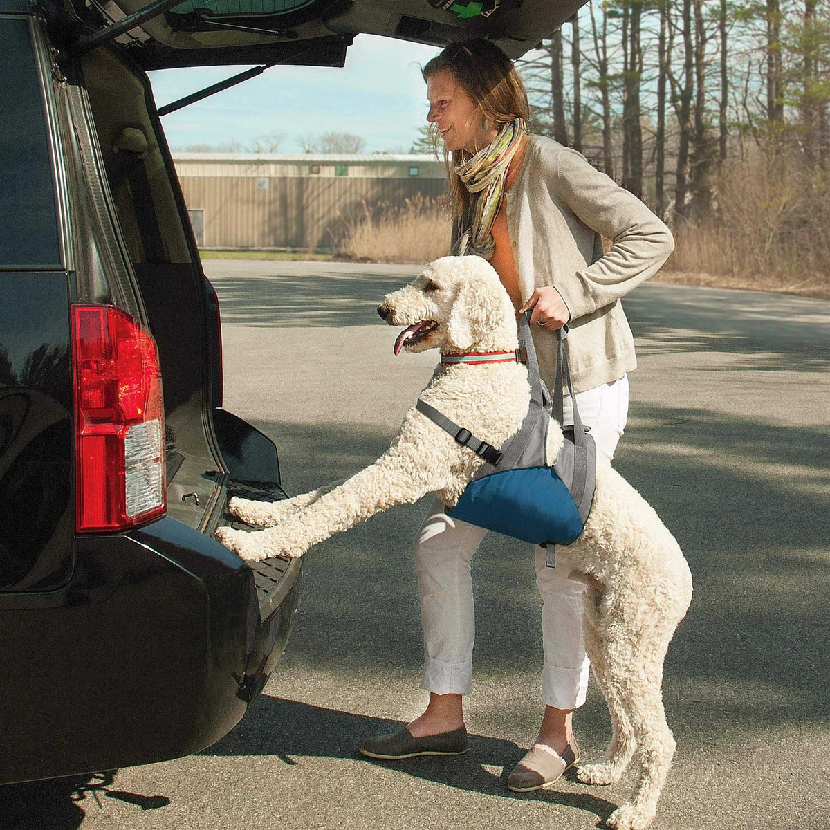 Dog Lifter Y397
