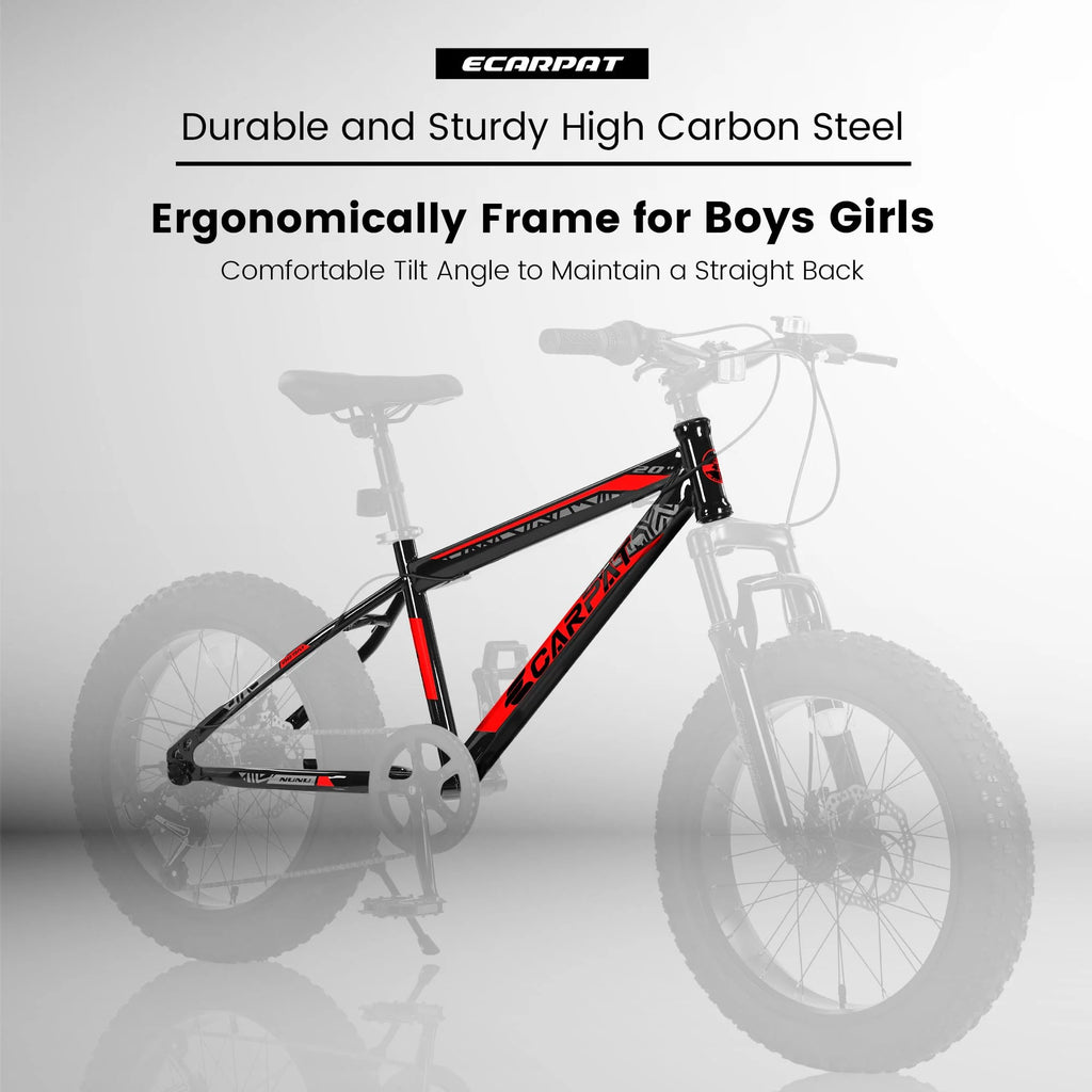 20 Inch 4 Wide Fat Tire 7 Speed Steel Frame Kids Bike T86485