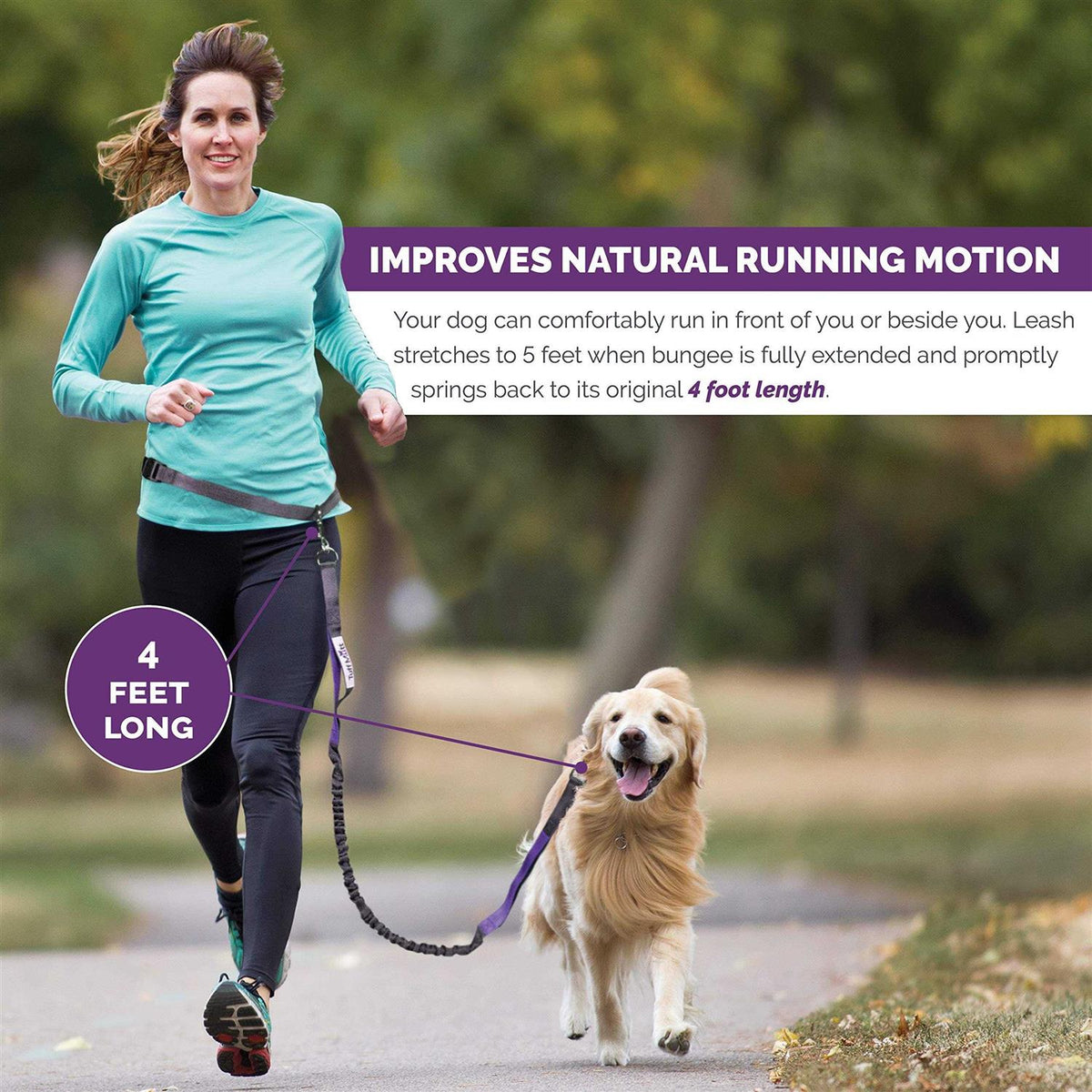 Hands Free Dog Leash with Dual-Handle Bungee X686