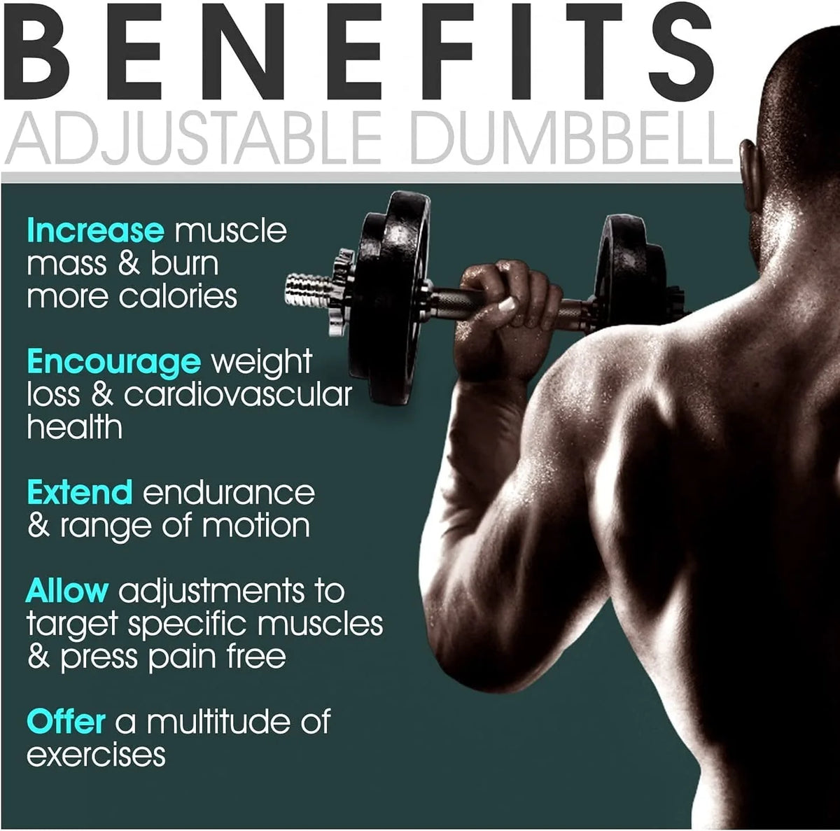 50 lbs Adjustable Cast Iron Dumbbell Set J5715