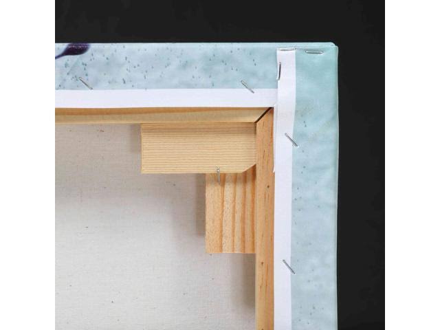 20x22 x 24x22 Canvas Wall Art E884261