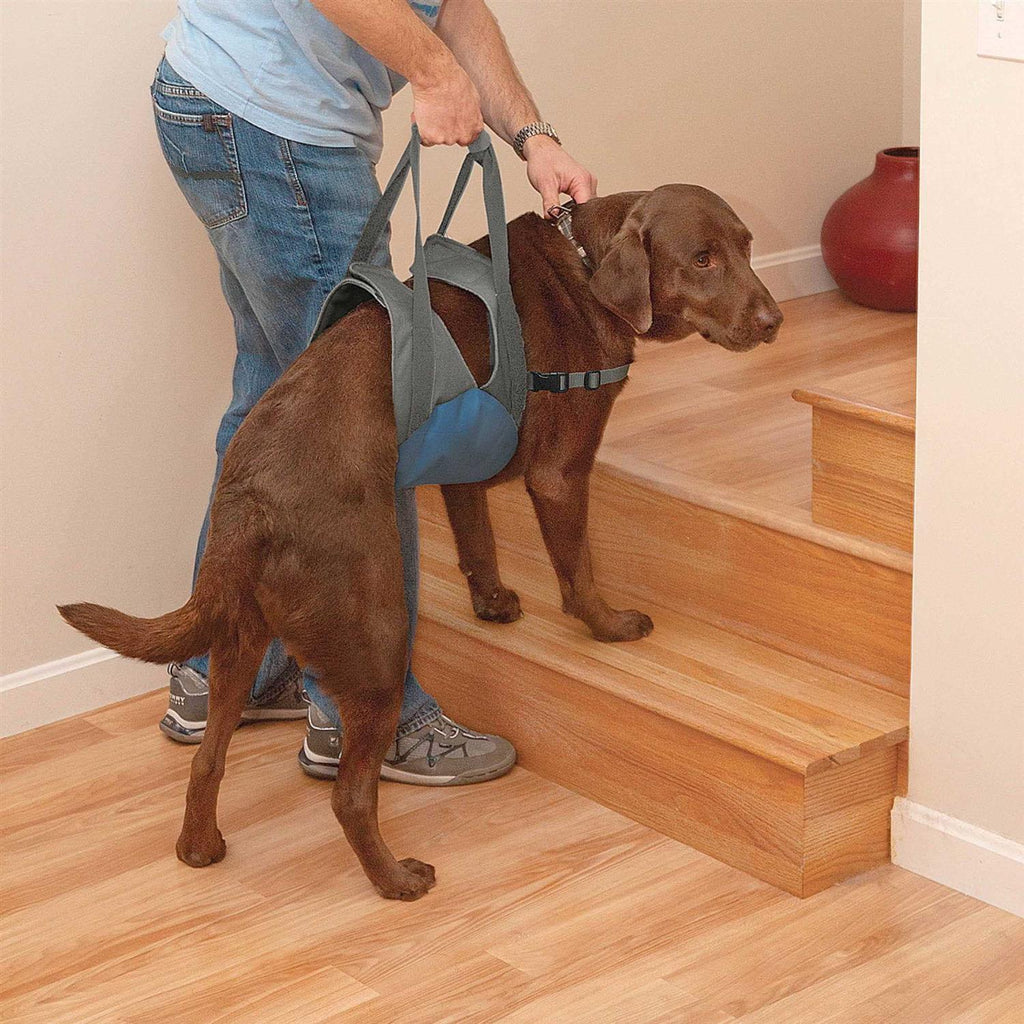 Dog Lifter Y397