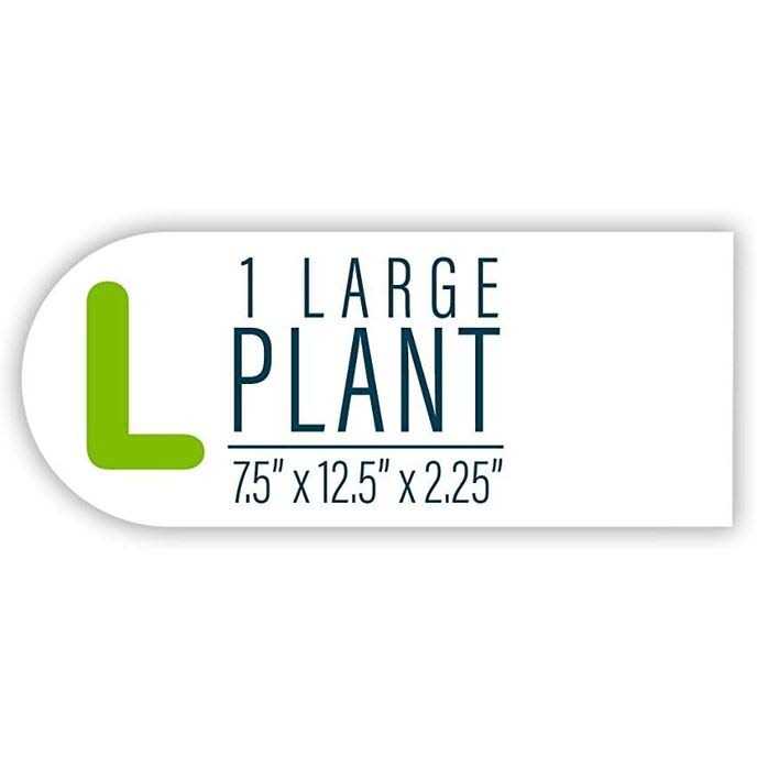 Aquarium Plant E7591