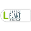 Aquarium Plant E7591
