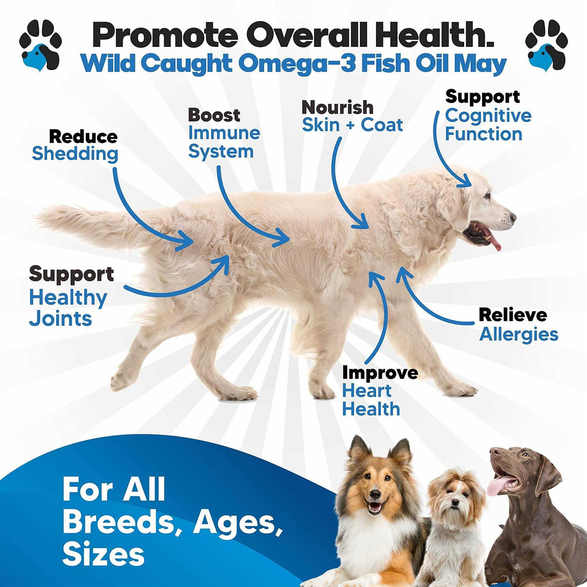 Omega 3 Fish Oil for Dogs V5037