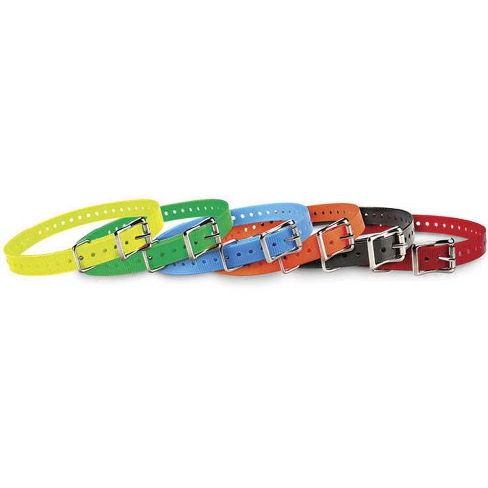 Collar Strap Q9483