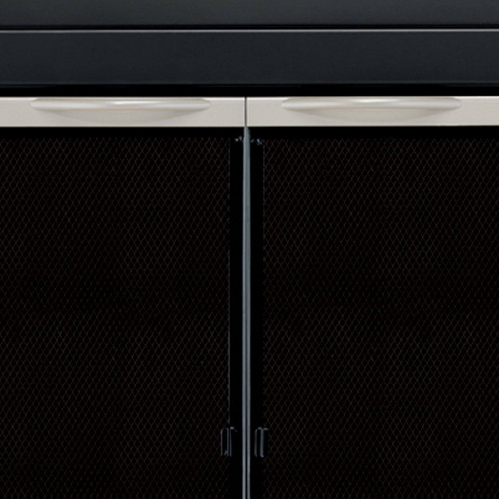 Black Small Fireplace Glass Door R5076