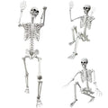 5.4Ft Halloween Life Size Human Skeleton with Movable Joints S960