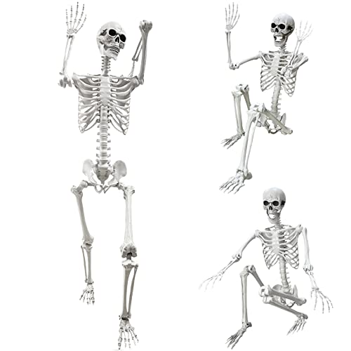 5.4Ft Halloween Life Size Human Skeleton with Movable Joints S960