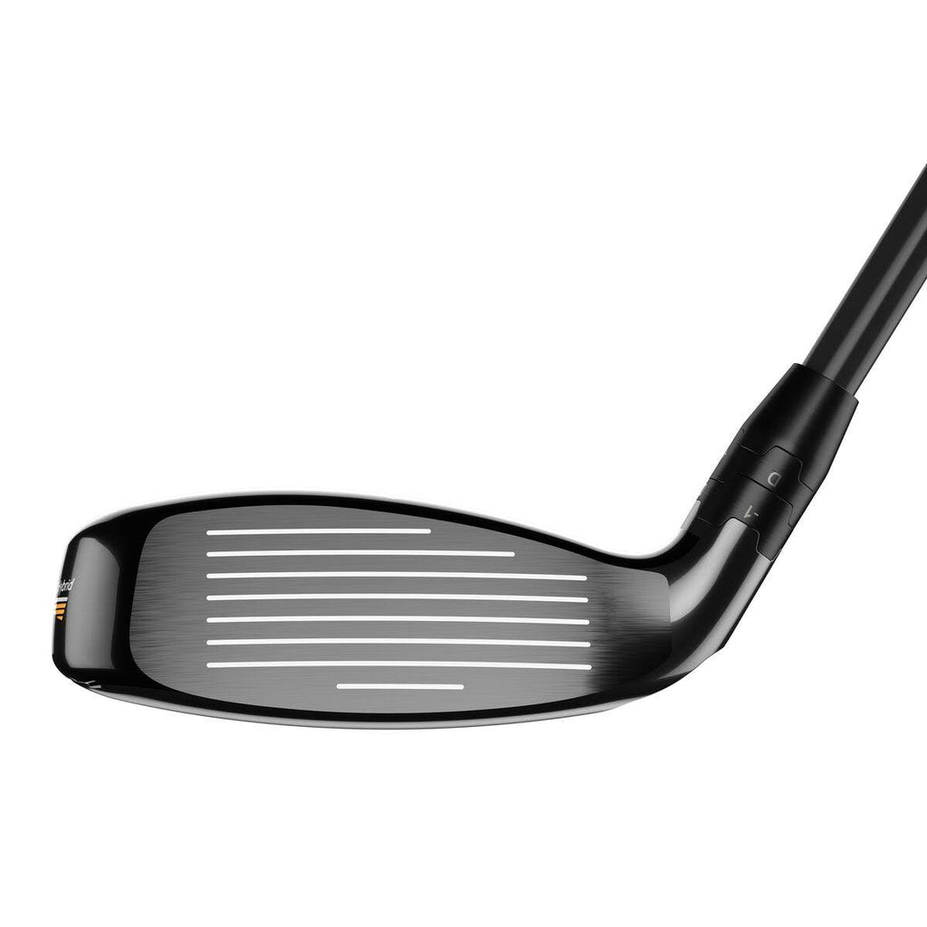 Hybrid X448644