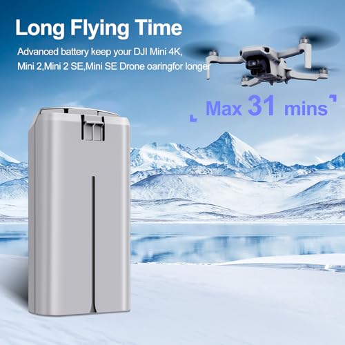 2-Pack Mini 2 Series Intelligent Flight Batteries 2400mAh Drone Battery L994