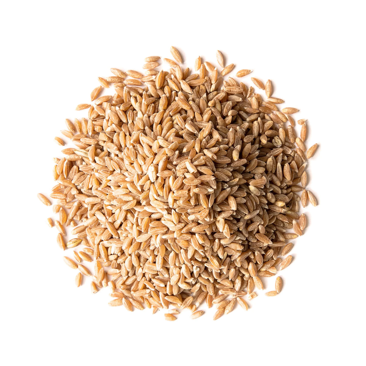 Spelt Berries, 10 Pounds P46612