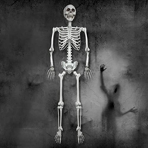 5.4Ft Halloween Life Size Human Skeleton with Movable Joints S960