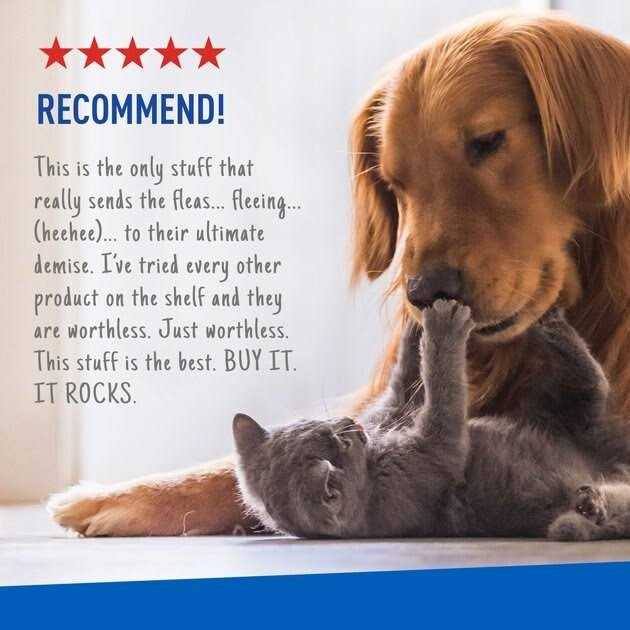 Flea Tick Spray Z33677