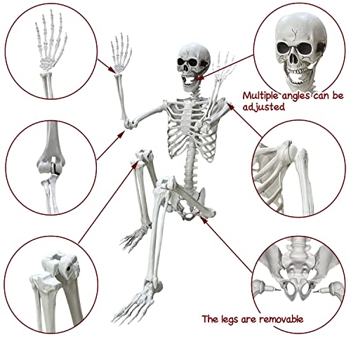 5.4Ft Halloween Life Size Human Skeleton with Movable Joints S960