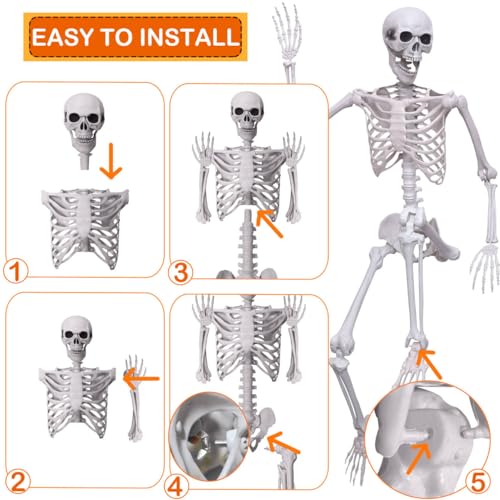 5.4Ft Halloween Life Size Human Skeleton with Movable Joints S960