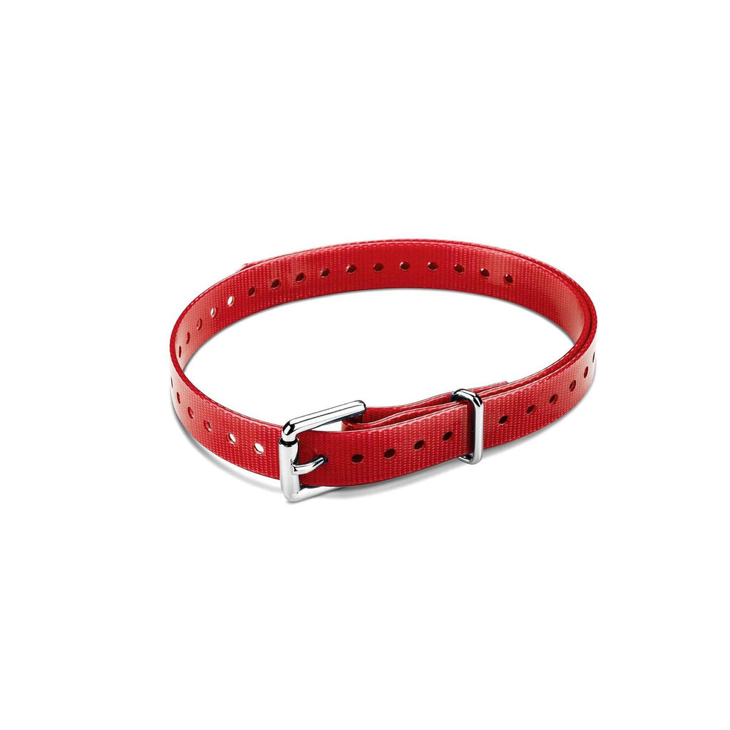 Collar Strap Q9483