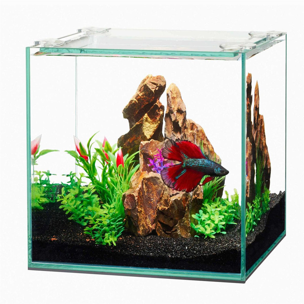 Frameless Cube Aquarium D912