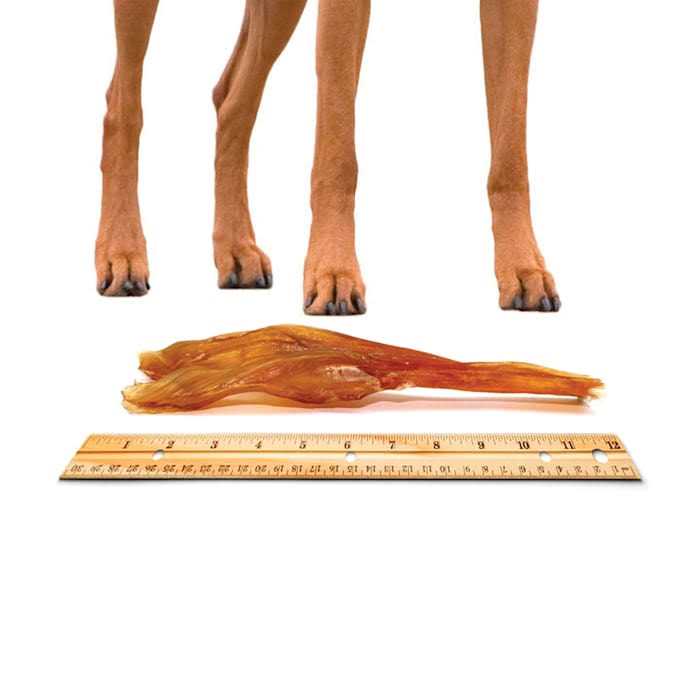 Beef Tendon Dog Chews V6704