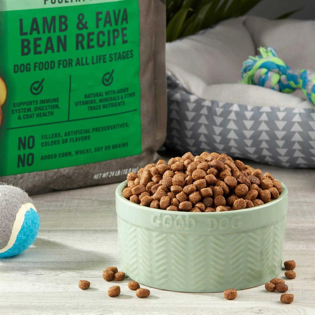 Grain Free Lamb & Fava Bean Recipe Dog Food W2048