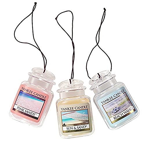 3-Pack Hanging Car Jar Air Fresheners F979