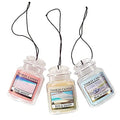 3-Pack Hanging Car Jar Air Fresheners F979