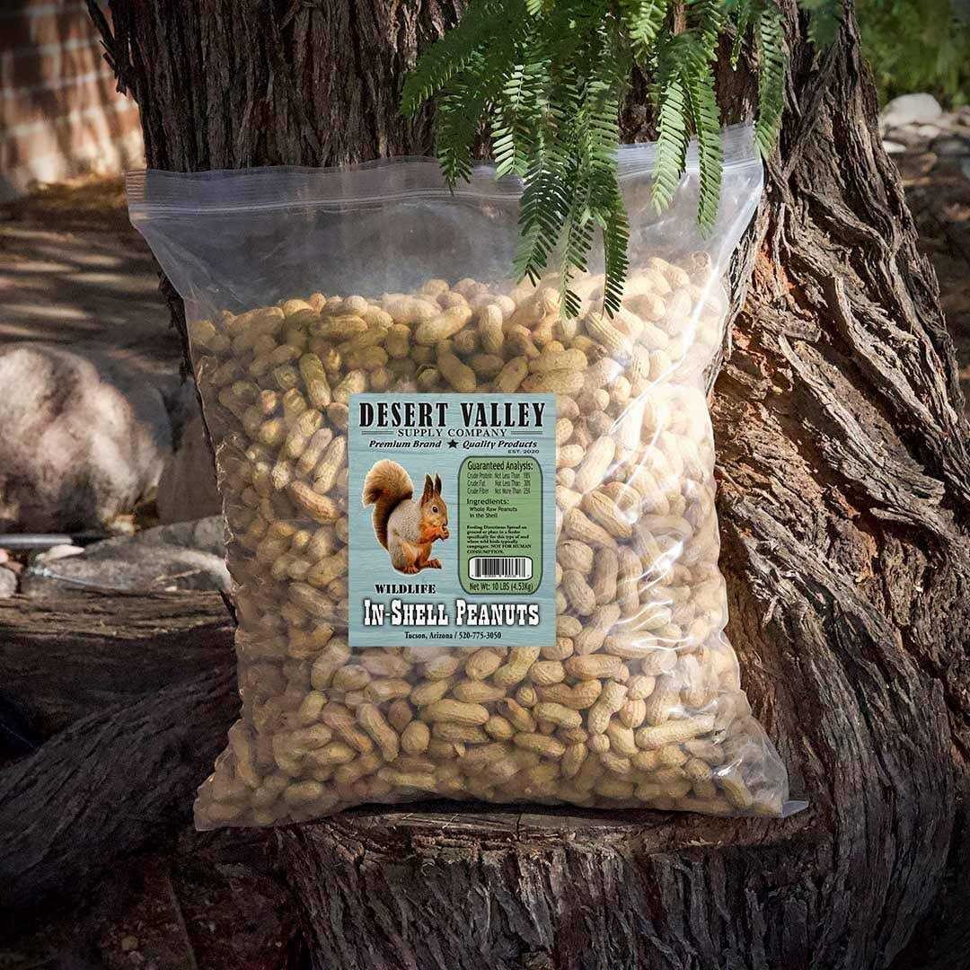Peanuts in Shell A931009