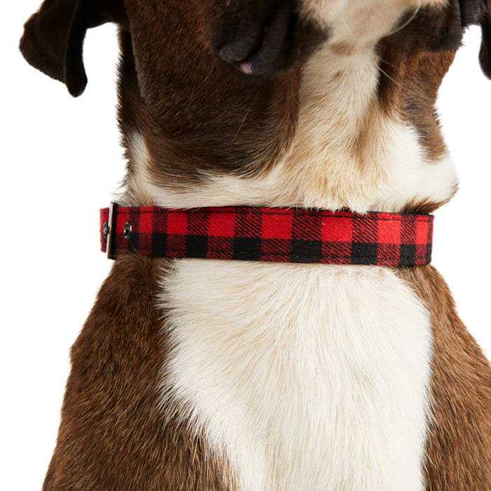 Buffalo Checkered Dog Collar S820014