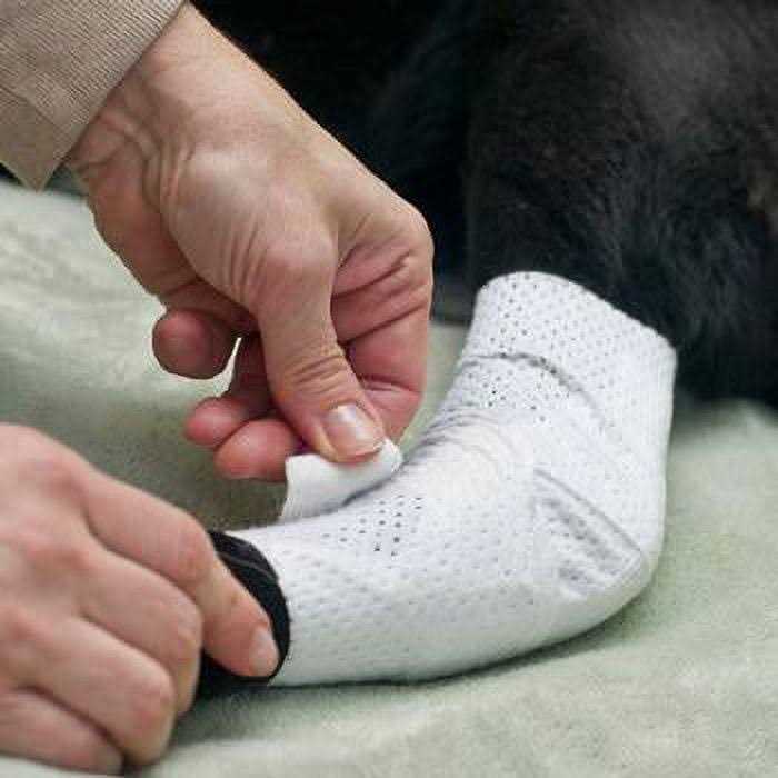 Pets Bandages Y569978