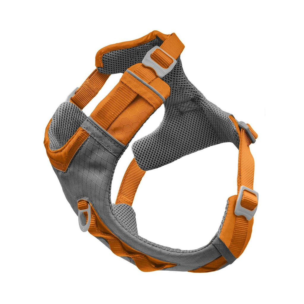 Dog Harness T42903