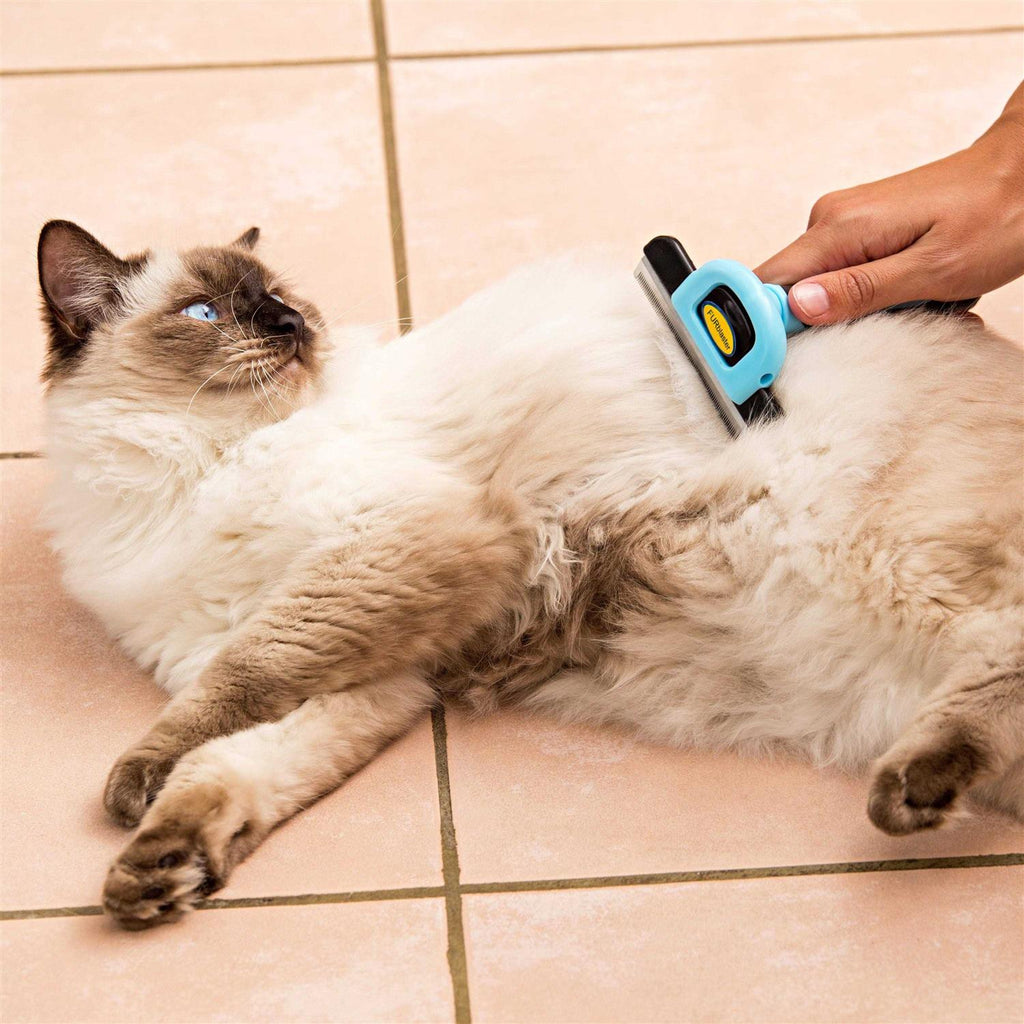 Pet Grooming Brush T885504