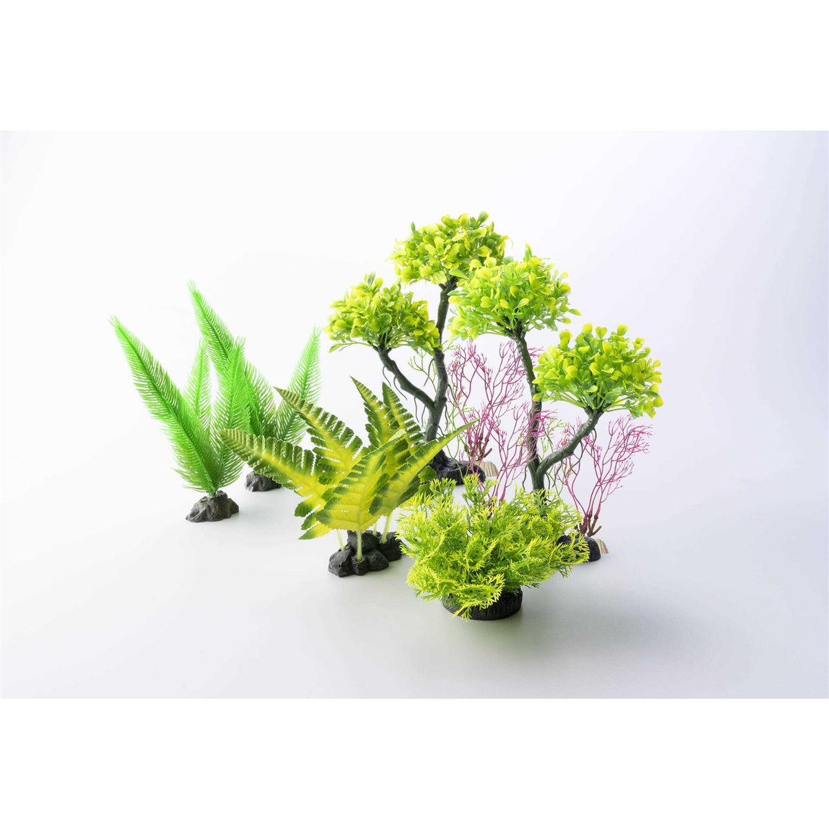 Aquarium Plant E7591