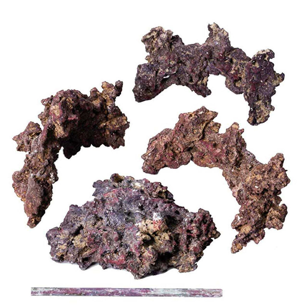 LifeRock Reef Tree with Arches B807521