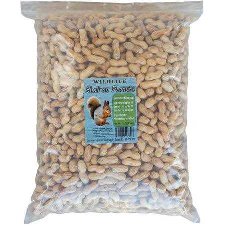 Peanuts in Shell A931009