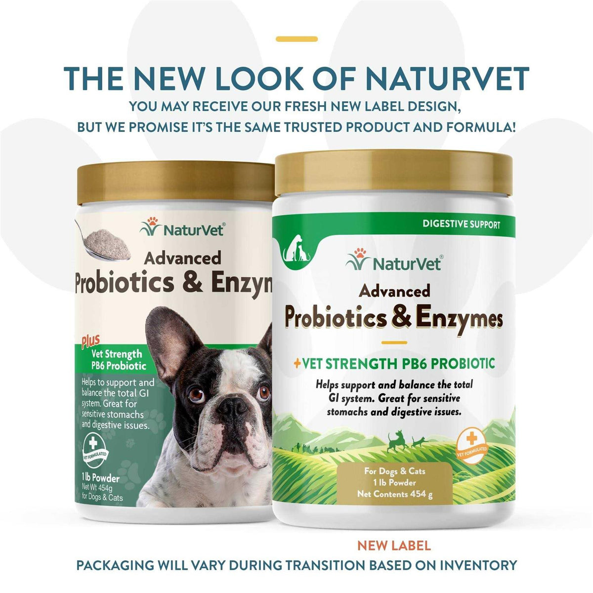 Probiotics Enzymes F857