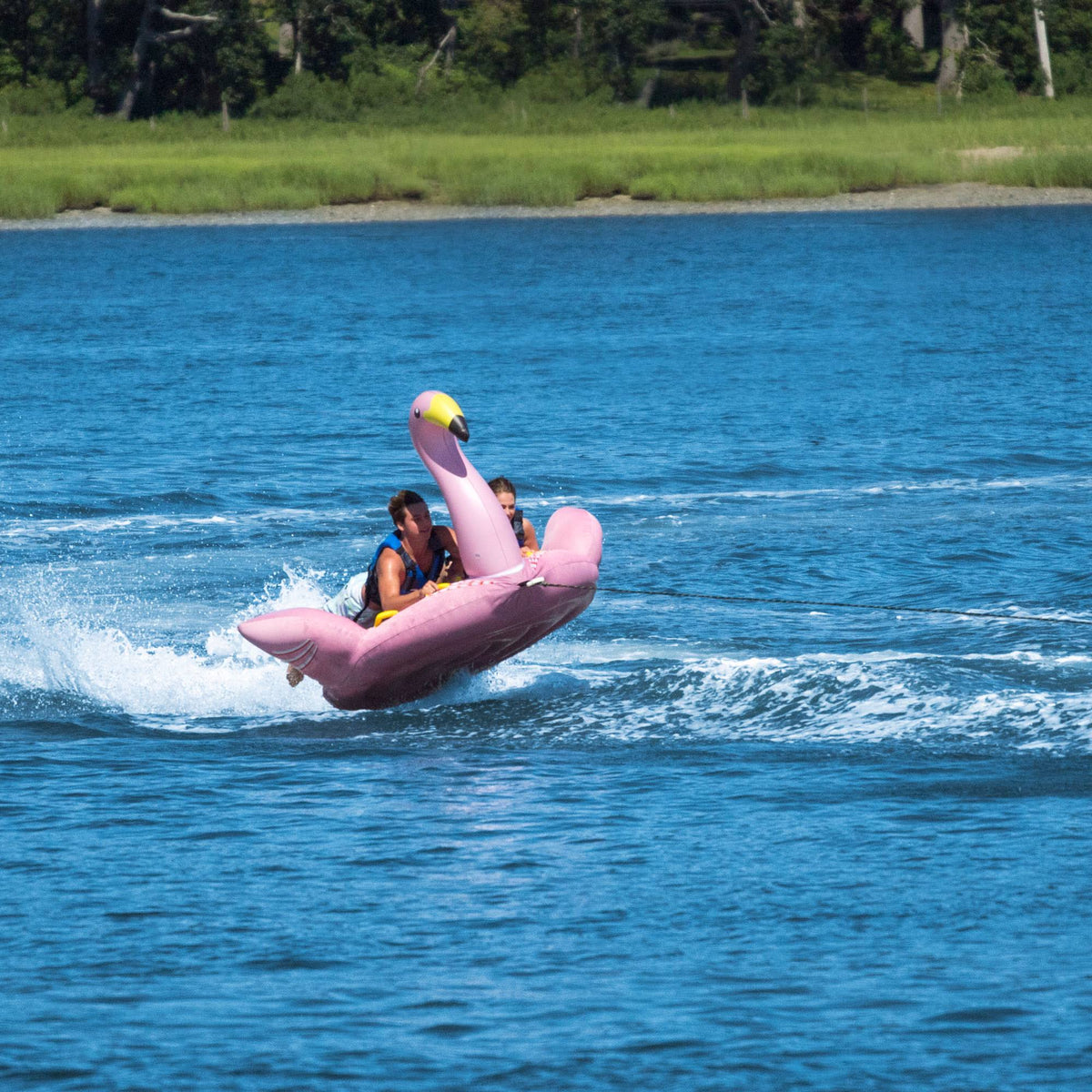 Towable Flamingo E370534