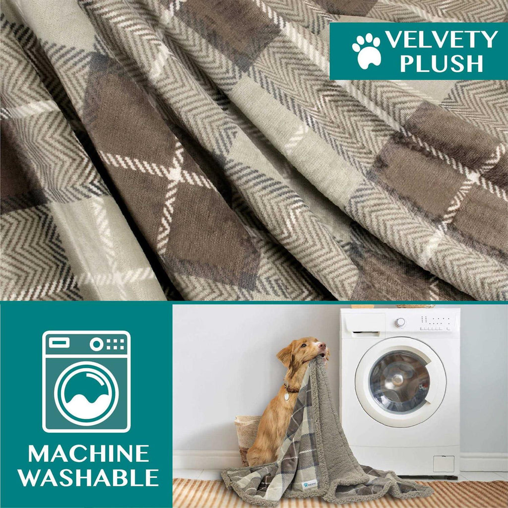 Dog Blanket A608198