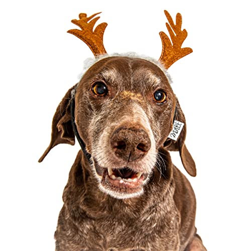 Dog Headband N105478