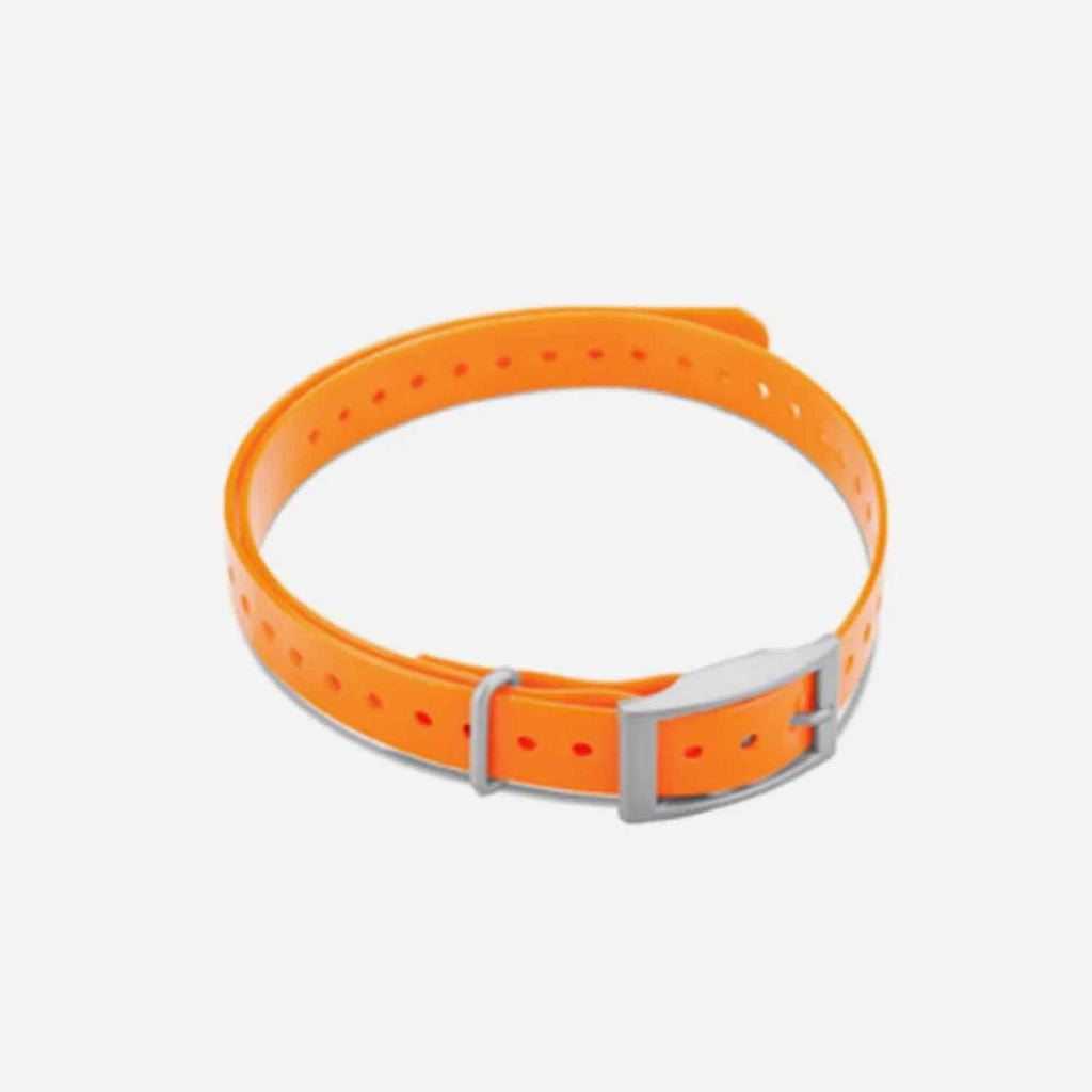 Collar Strap Q9483