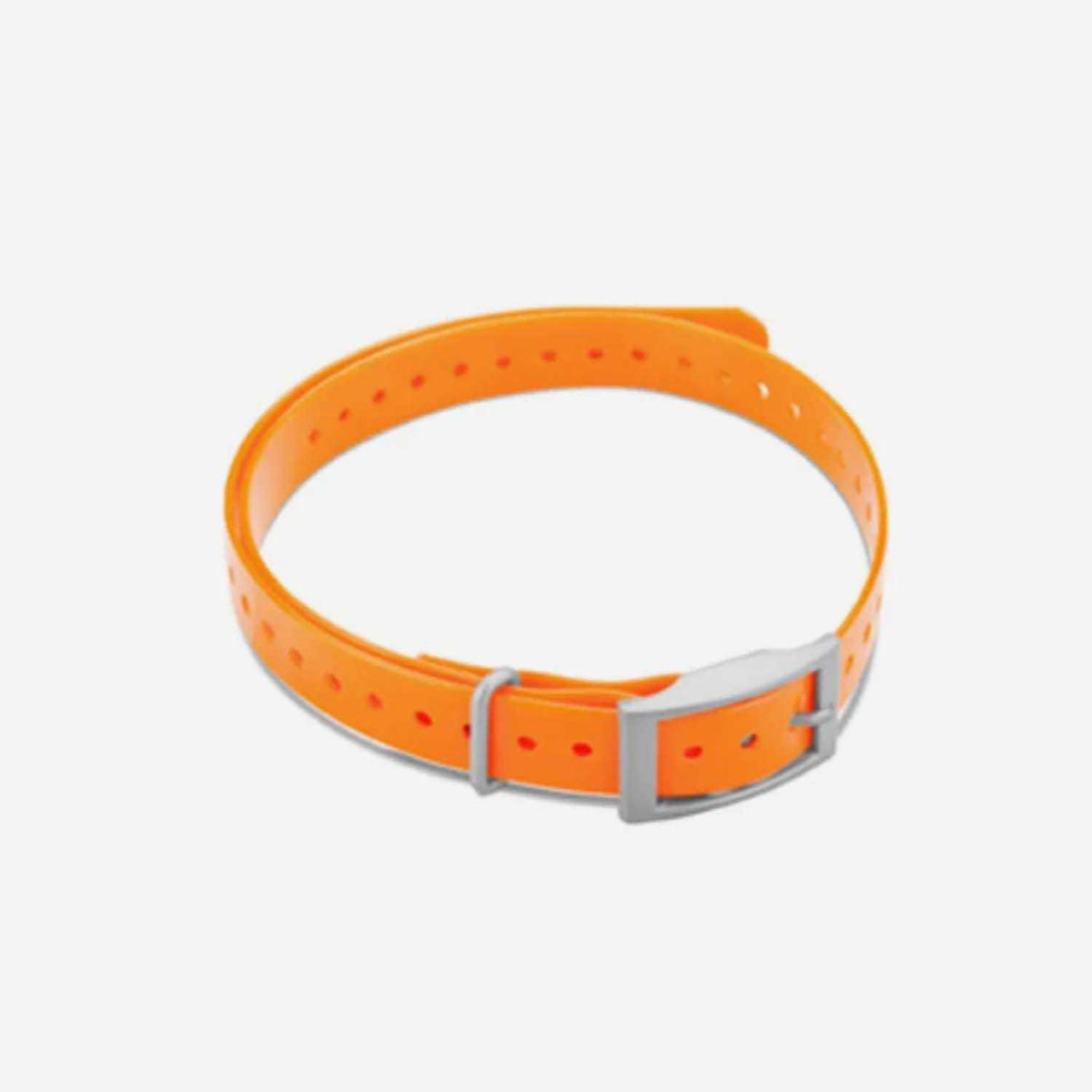 Collar Strap Q9483