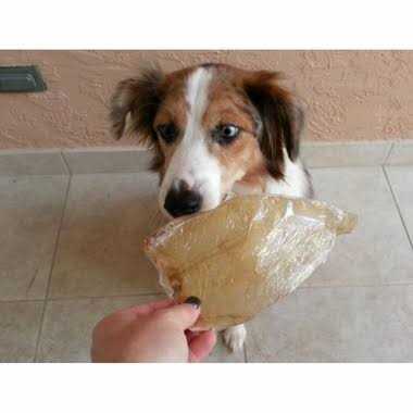 Buffalo Ears for Dogs P82330